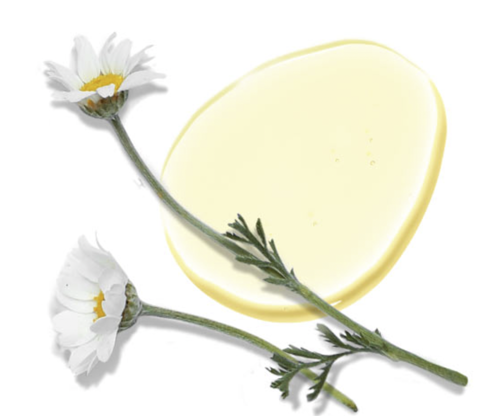 HYDROPEPTIDE SOOTHING SERUM 
Arcszérum érzékeny bőrre és rozaceára botanikai őssejtvonalakkal és hialuronsavval. Hatásossággal egészen a DNS sejt szintjéig
