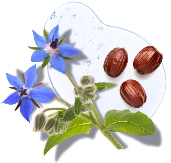 Power Luxe<br>Aktív regeneráló éjszakai krém természetes retinollal<br>30 ml