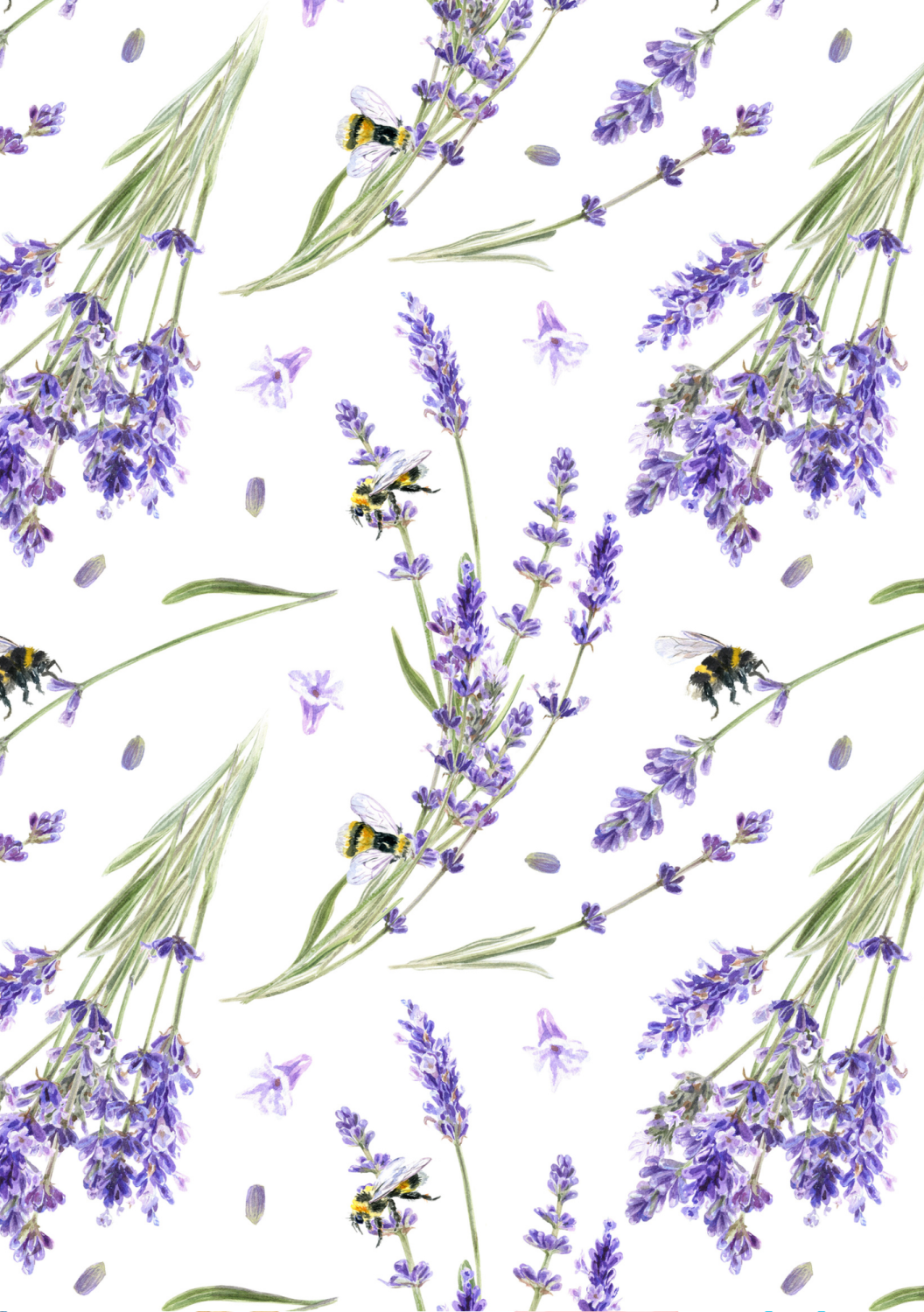 MC-AROMA SHOWER <br>LAVENDER 
Medicals Cosmetics zuhanyaroma-szűrő <br> Levendula C-vitaminnal