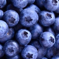 PROFI BLUEBERRY PEEL<br>Lágyan világosító peeling áfonyával<br>177,44 ml